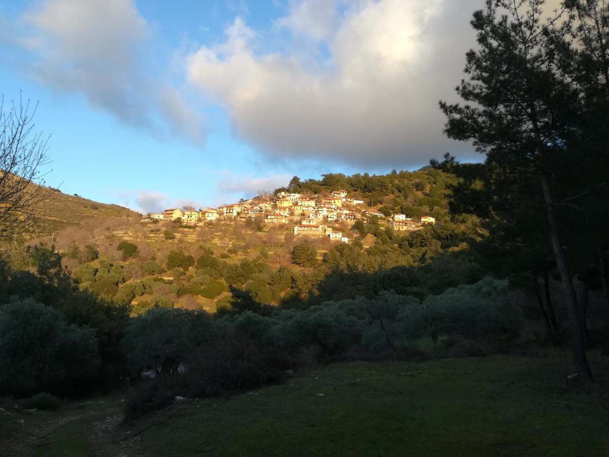 Eden View Apartment Sotir Exterior foto